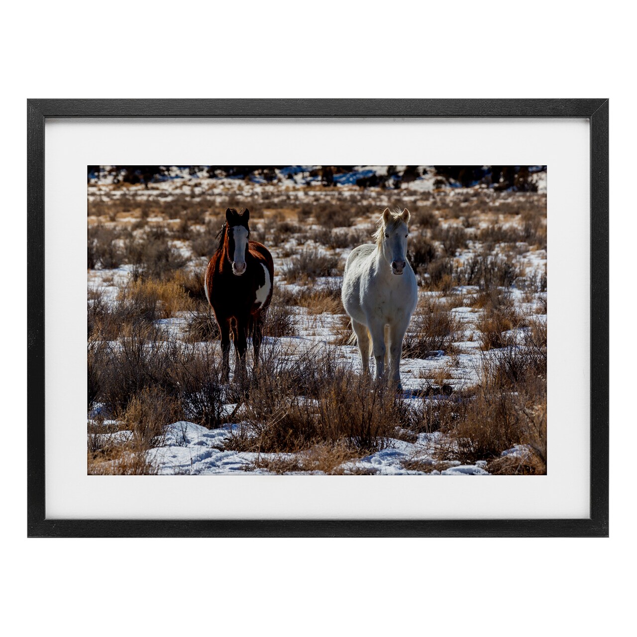 Stupell Industries Arches Horse Pair in Snow Framed Print Under Glass, design by Jeff Poe Photography